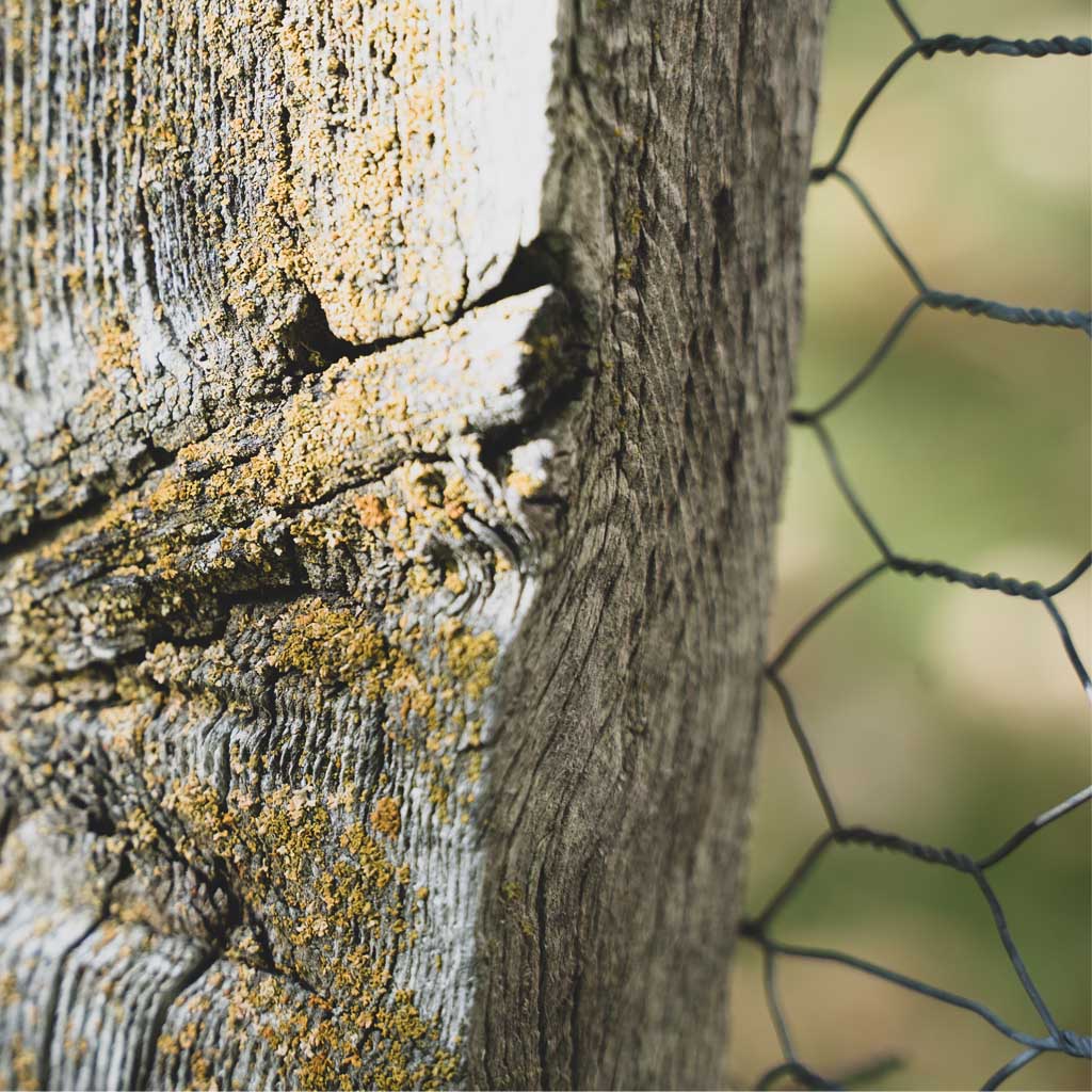 Grillage à lapins, cage petits animaux (Rouleau 25m)