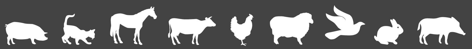 Frise animaux logo AGRILLAGE